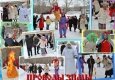 Проводы зимы